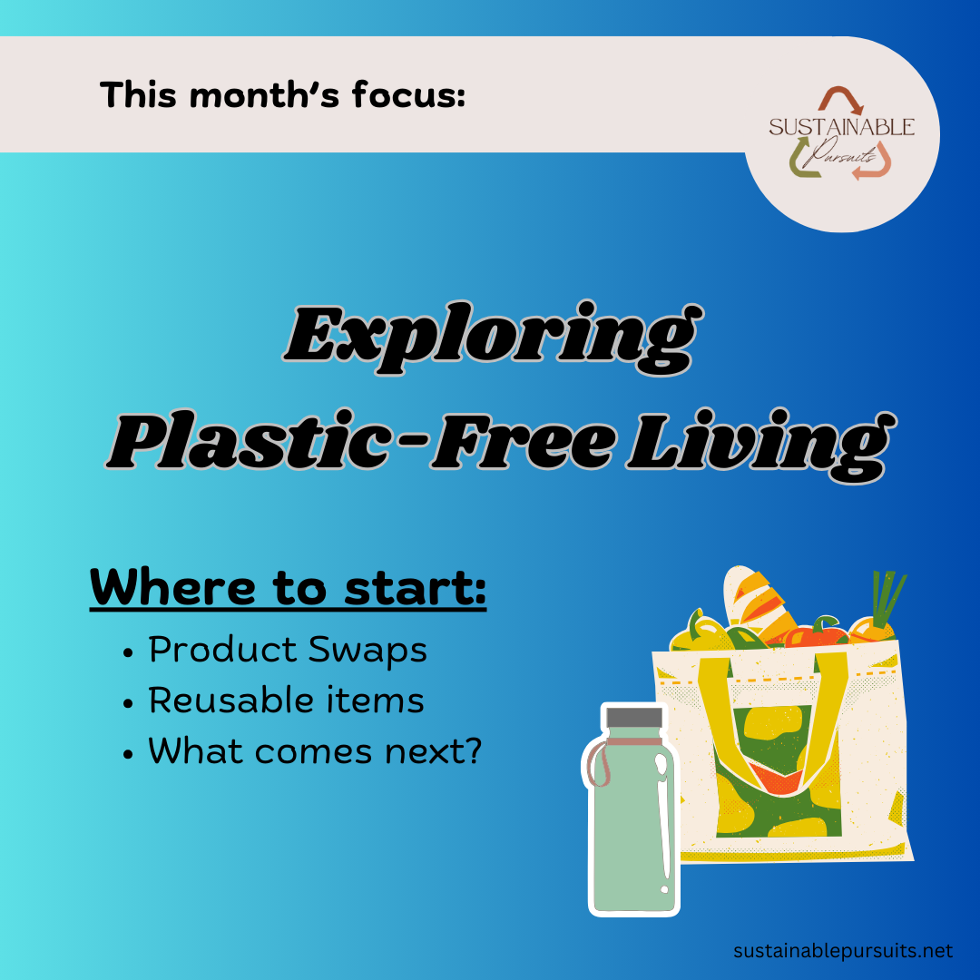 How To Live Plastic-Free: Where To Begin?